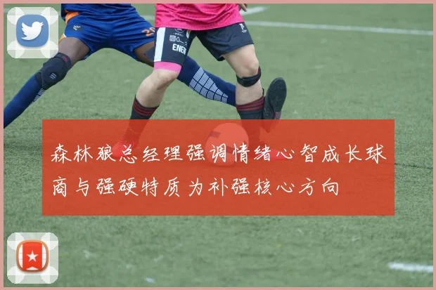 森林狼总经理强调情绪心智成长球商与强硬特质为补强核心方向