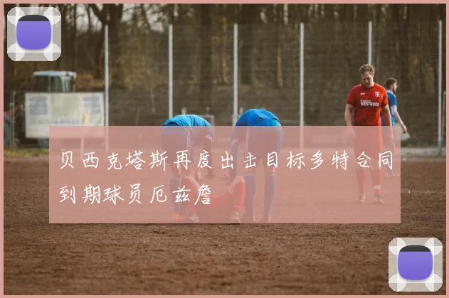 贝西克塔斯再度出击目标多特合同到期球员厄兹詹