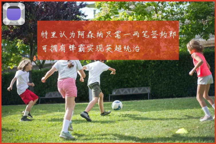 特里认为阿森纳只需一两笔签约即可拥有锋霸实现英超统治