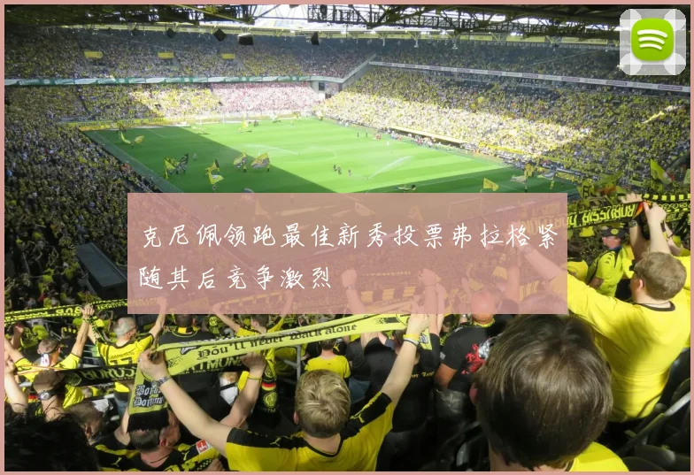 克尼佩领跑最佳新秀投票弗拉格紧随其后竞争激烈
